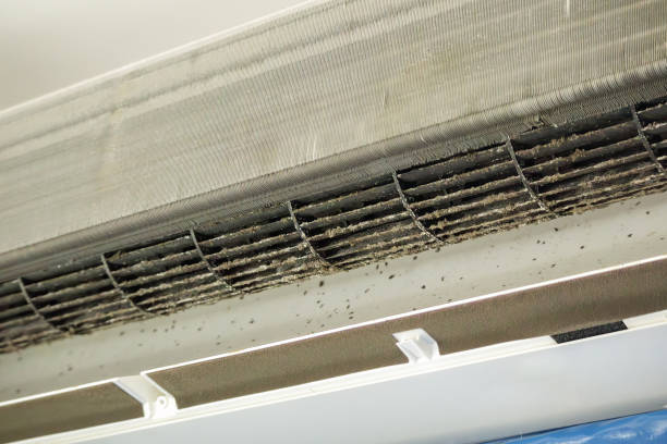 Best Local Air Duct Cleaning Services  in Oak Grove, OR